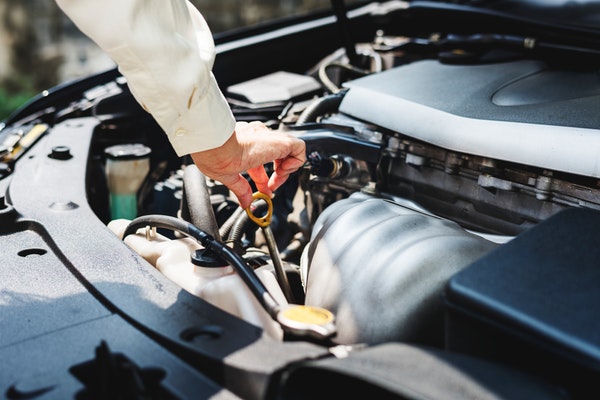 Man checking oil on car